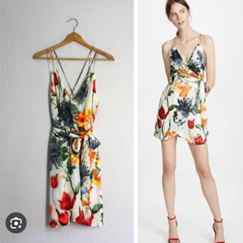 Alice + Olivia dress